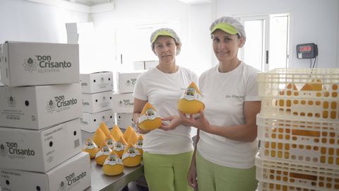Quesería Don Crisanto, en Vilalba, galardonada con el premio Alimentos de España en el apartado de queso madurado de vaca