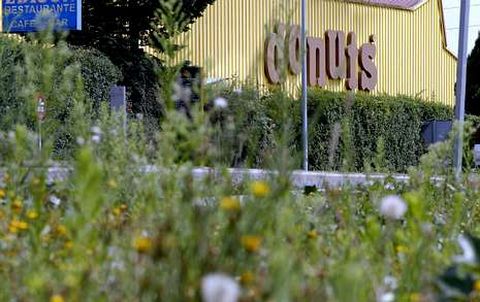 Panrico anunci� a finales del 2012 el cierre de la f�brica de Donuts en Compostela.
