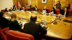 Pleno de la Zona Franca de Vigo