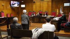 Juicio por apropiaci�n indebida en el que fue condenada la acusada.