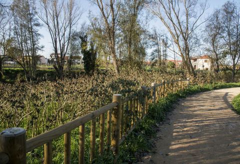 <span lang= es-es >Desbroce del estramonio</span>. La supresi�n de las plantas t�xicas de estramonio que proliferan en las m�rgenes del paseo del Cabe se realizar�n mediante desbroce por la proximidad al r�o. 