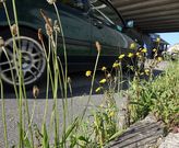 El plan activado por la Diputaci�n se orienta a la prevenci�n de incendios forestales. 
