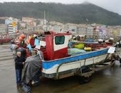 La mayor�a de las embarcaciones est�n en el puerto local y las dem�s en el de Baiona. 