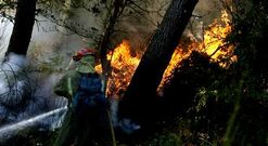 Medio Rural otorga ayudas a las comunidades de montes para prevenir el fuego. 