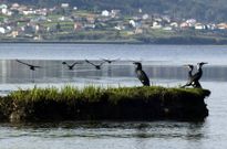 Conservaci�n da Natureza quiere que el plan xeral incluya medidas para blindar los ecosistemas. 