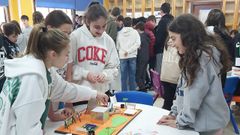 Alumnas del IES de Ortigueira viendo las diferentes maquetas de parques infantiles que hicieron en clase de Tecnoloxa