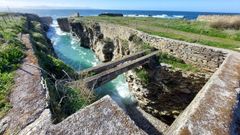 Varias cetreas de Rinlo, en Ribadeo, estn catalogadas