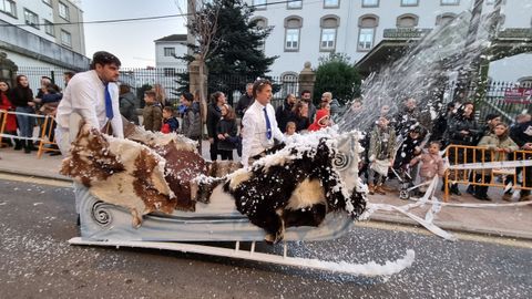 Cabalgata de Reyes en Pontevedra 