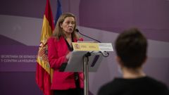 La delegada del Gobierno contra la Violencia de G�nero, Victoria Rosell, durante la rueda de prensa de hoy.