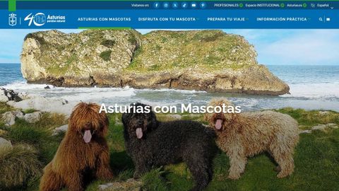 Portal www.Asturiasconmascotas.com.