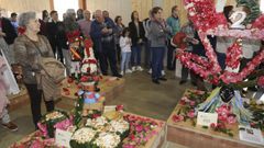 Vedra - festa da camelia