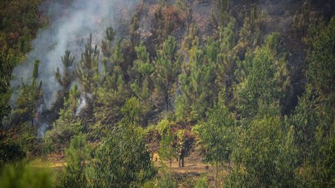 Operarios de la lucha contra el fuego en el monte intentando atajar el fuego de Cobres, entre Vilar y Paradellas