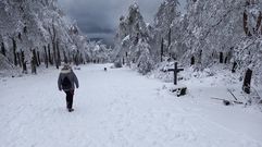 As� est� estos d�as el Cami�o da Virxe, el sendero que utilizan los penitentes para subir de rodillas hasta la capilla del Monte Faro en la romer�a del 8 de septiembre
