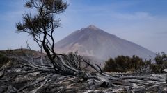Parque Nacional del Teide, en Tenerife