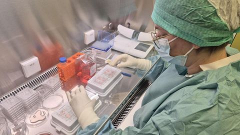 Preservaci�n del tejido testicular en el Hospital Universitario de Bruselas
