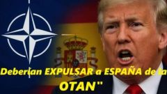 Trump contra Espaa