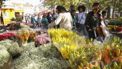 Mucho color y muchas flores en el feir�n de Carballo: im�genes