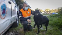 Ricardo Vara, responsable de la agrupaci�n, con el perro que piensan adoptar