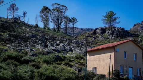 As est el monte de Barbanza un ao despus del gran incendio