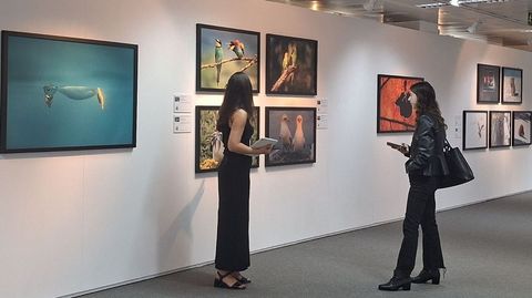 Im�genes premiadas de la exposici�n fotogr�fica �Comedy Wildlife�