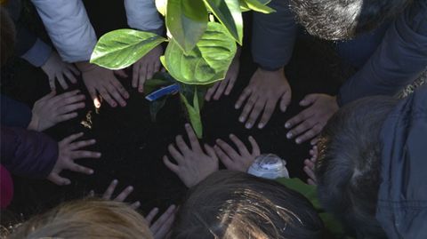 Ecosistema La Laboral