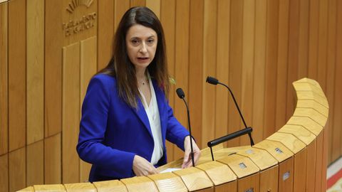 La conselleira de Medio Rural, durante su comparecencia en el Parlamento