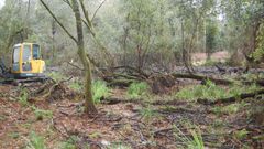 De nueve a seis. El campo del Aeroclub perdi tres hoyos que merman su utilidad, y la intencin de los comuneros, adems de limpiar la zona, era habilitar suelo para que el campo de golf recupere el terreno perdido. Utilizaron maquinaria pesada (imagen) para hacer zanjas que desviaron el cauce del ro en Cabral.