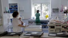 �rea de neonatolog�a del materno infantil del Chuac, foto de archivo