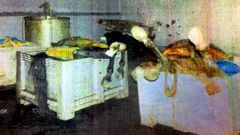 Las naves de As Neves almacenaban de forma ilegal contenedores llenos de cad�veres de animales