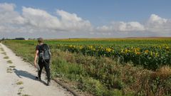 Ancha es la Castilla peregrina