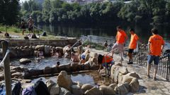 Las termas de A Chavasqueira reabrieron oficialmente esta semana.
