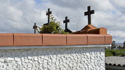 Maleza creciendo sobre los nichos.