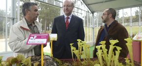 El alcalde Agust�n Fern�ndez acudi� ayer a la apertura de la exposici�n de plantas carn�voras. 