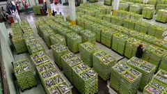 Cerca de 250.000 kilos de bocarte se subastaron en la lonja de A Coru�a el 12 de agosto del 2026.
