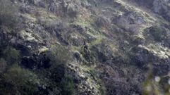 Las fotos del primer d�a del Quiroga Trail Challenge 2026