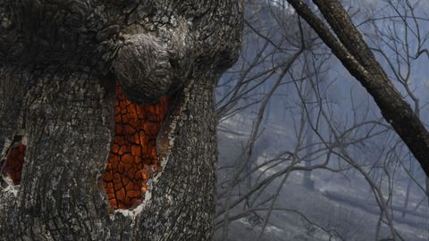 Incendio en Quiroga