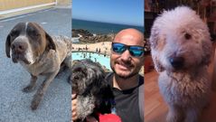 De izquierda a derecha: Choco, Tanxu y Frida