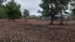 Los terrenos en los que se realizó el desbroce son particulares, pero se convertirán en zona verde a medio plazo