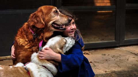 Ense�ar a querer a los animales puede resultar de gran ayuda educativa