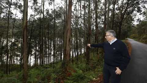 El productor Jos Luis Solloso muestra una plantacin en el entorno de Viveiro