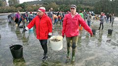 Mariscadores de Noia intentan recuperar el marisco que el mal tiempo arrastr� a la playa