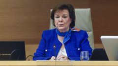 La presidenta del Tribunal de Cuentas, Enriqueta Chicano, en una comparecencia reciente en el Congreso