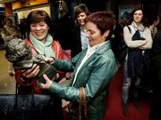 El Goya de �Arrugas� se vino de visita a Lal�n con Anirmau.