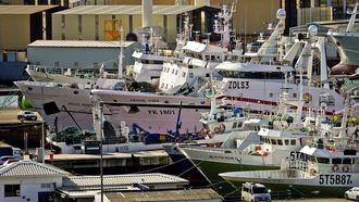 Imagen de la flota viguesa en una foto de archivo