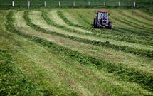 La apuesta principal de la zona por terrenos es por los prados de secano y de regad�o.