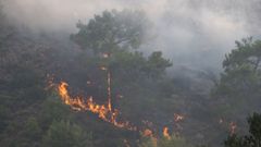 El incendio en la isla de Rodas (Grecia) quema un monte de pinos este s�bado.
