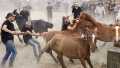 La Rapa das Bestas da Capelada, en su pasada edici�n.