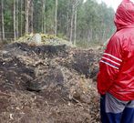 La Arqui�a es el �ltimo ejemplo de da�os a una m�moa. 