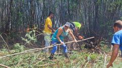 Incendio en Herb�n