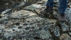 Petroglifos en el monte de Santa Mari�a